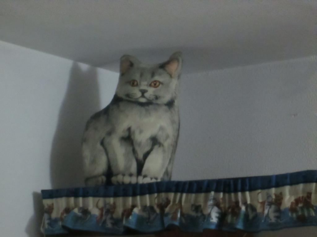 리도디오스티아 Cat'S House 아파트 객실 사진